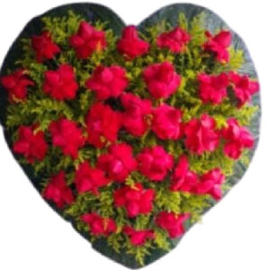 Coroa de Flores de Coração (TESTE)