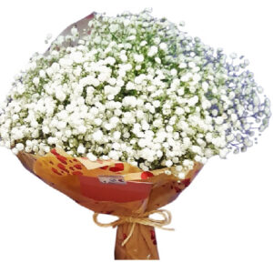 Buquê de Flores Mosquitinho (Gypsophila)
